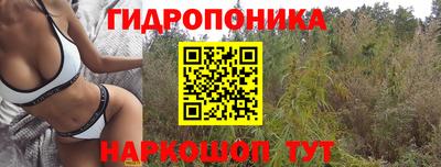 дживик Кандалакша