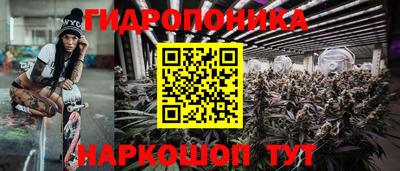 дживик Кандалакша