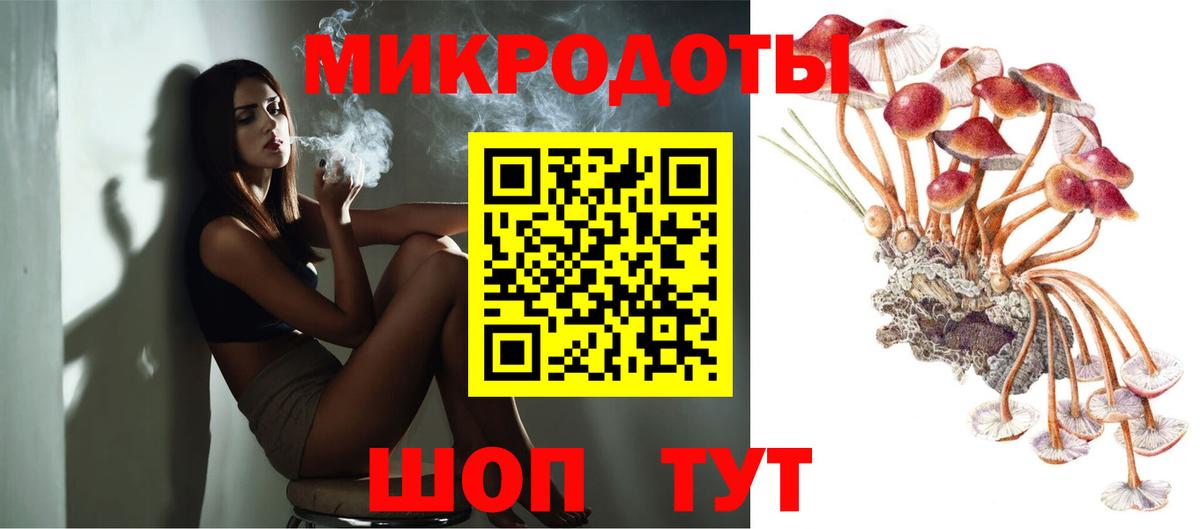 Псилоцибиновые грибы Psilocybe Кудрово