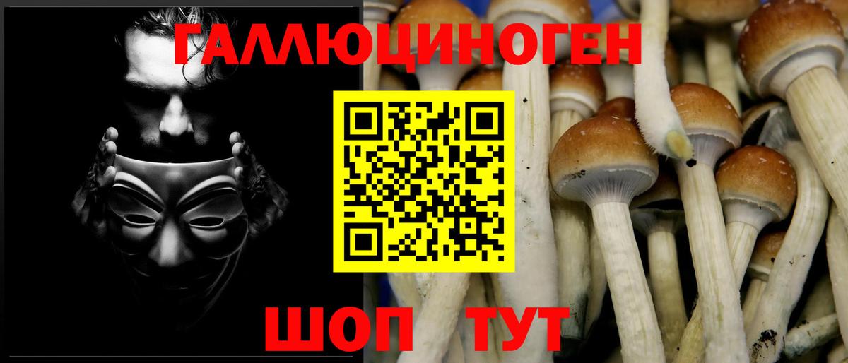 ГАШ  КОКАИН  НБОМе  Мефедрон   ТГК  Бошки Шишки  Вход с VPN  Кудрово  Экстази 