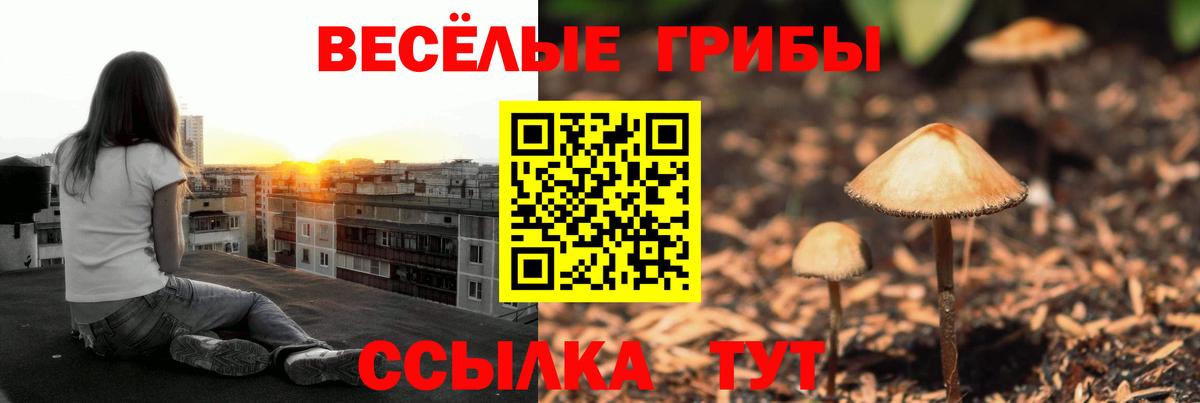 Псилоцибиновые грибы прущие грибы  Галлюциногенные грибы MAGIC MUSHROOMS  Кудрово  Вход с VPN 